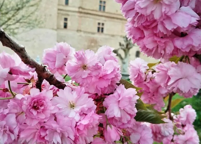 Apartamento Du Donjon