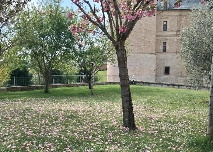 Du Donjon * Bournazel (Aveyron)